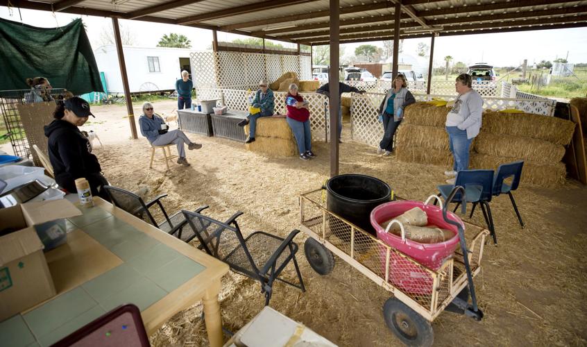 Barn Hunt Casa Grande