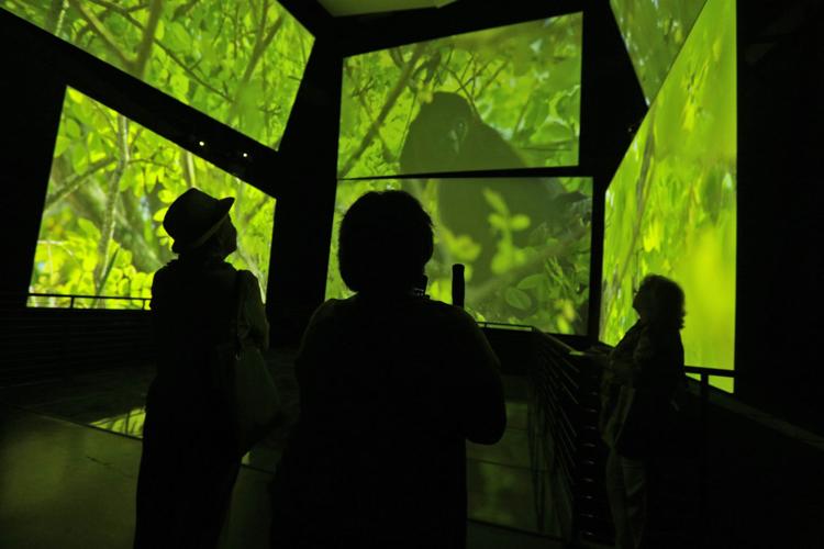 PANAMA-BIOMUSEO