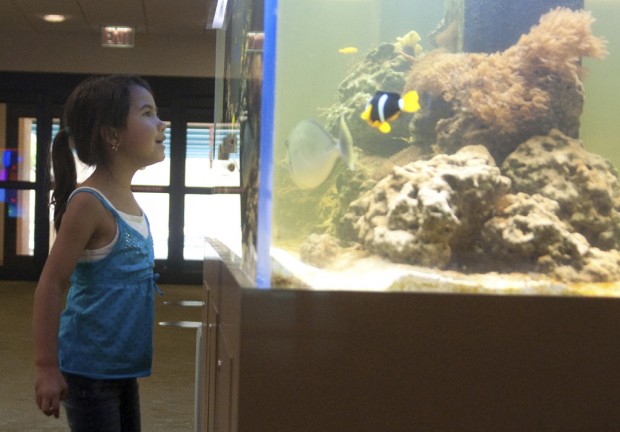 Kids are single focus of multilevel clinic   