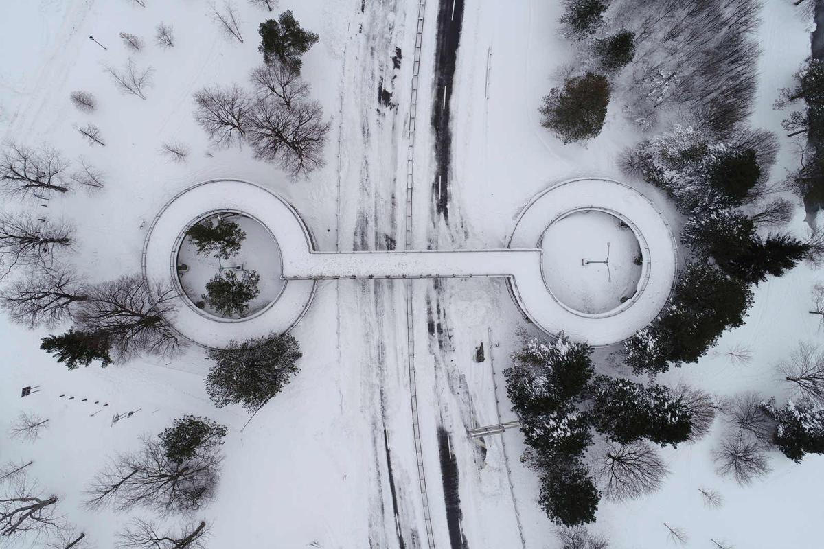 Buffalo Blizzard
