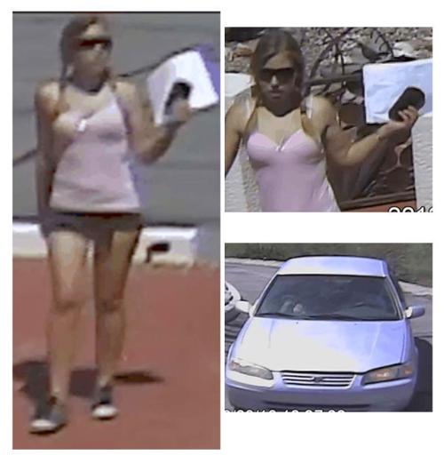 Deputies hope photos lead to break in burglary probe