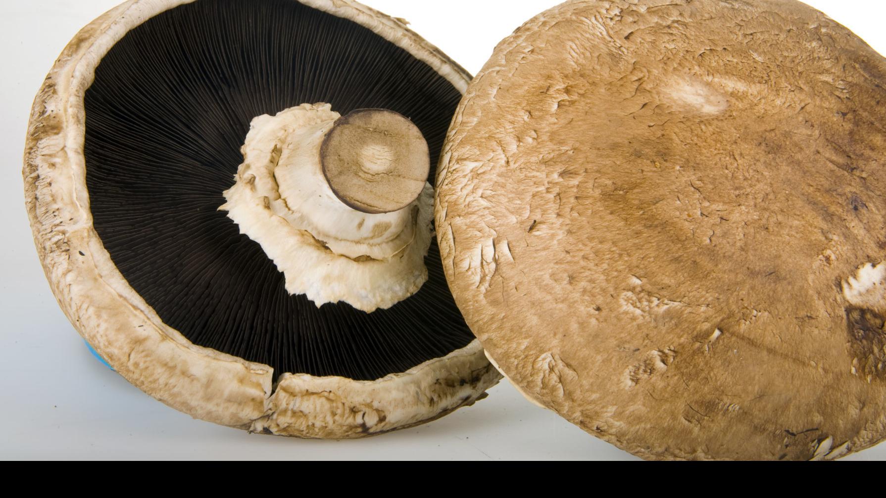 Easy Quick Marinated Mushrooms Get A Tucson Makeover Caliente Tucson Com