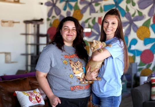 Hunter's Kitten Lounge opens in Tucson | to do | tucson.com