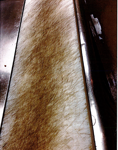 Unsanitary pizza prep