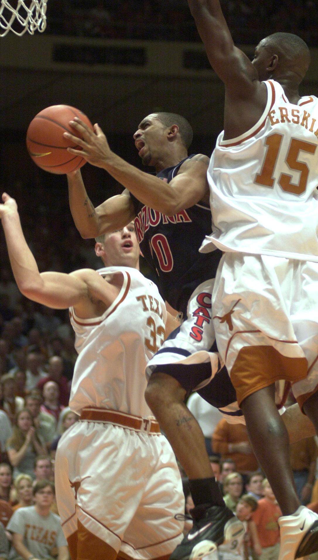 Salim Stoudamire