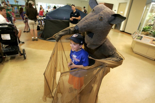 Zoo celebrates International Year of the Bat    