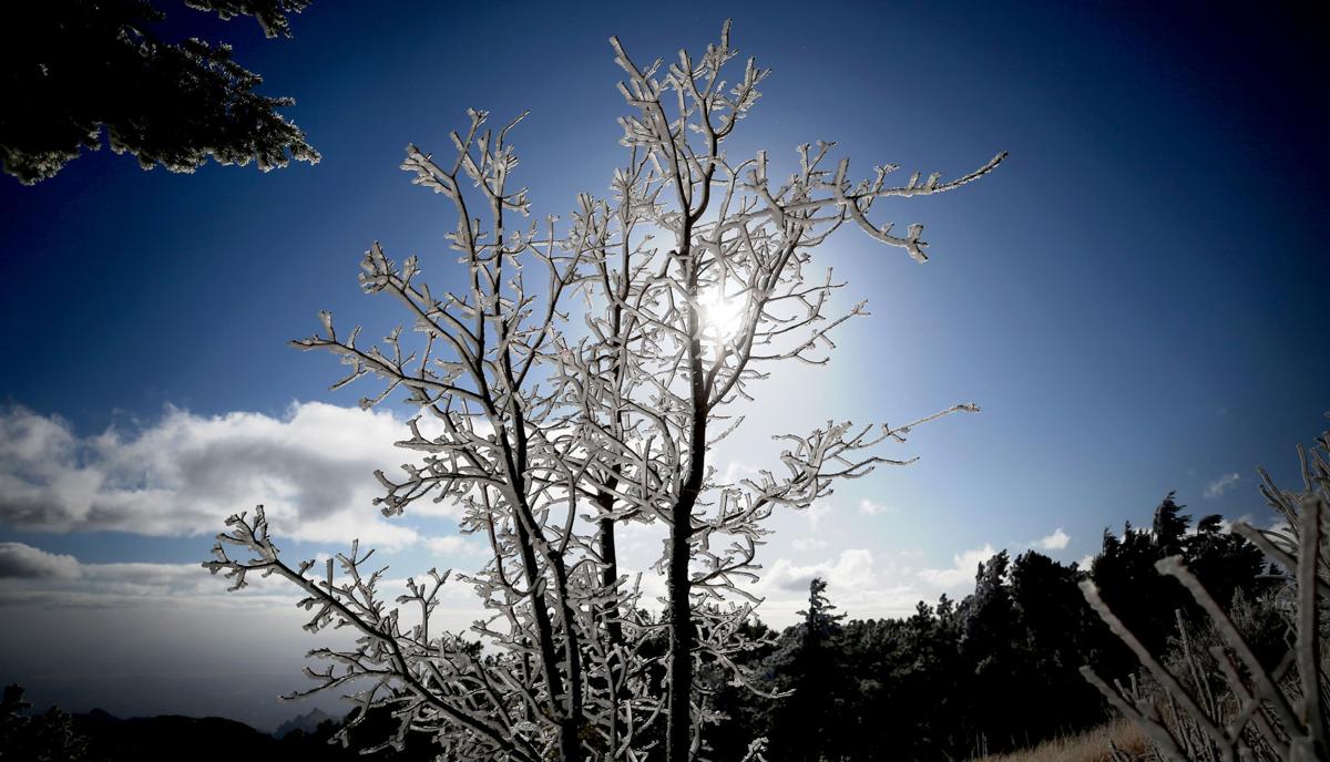 Santa Catalina snows