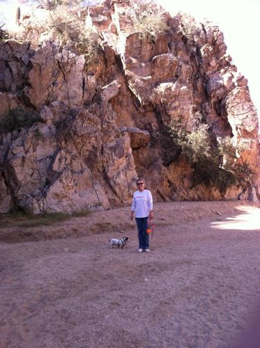 Hiking with the dog in Honey Bee Canyon