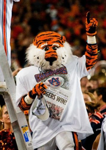 Aubie