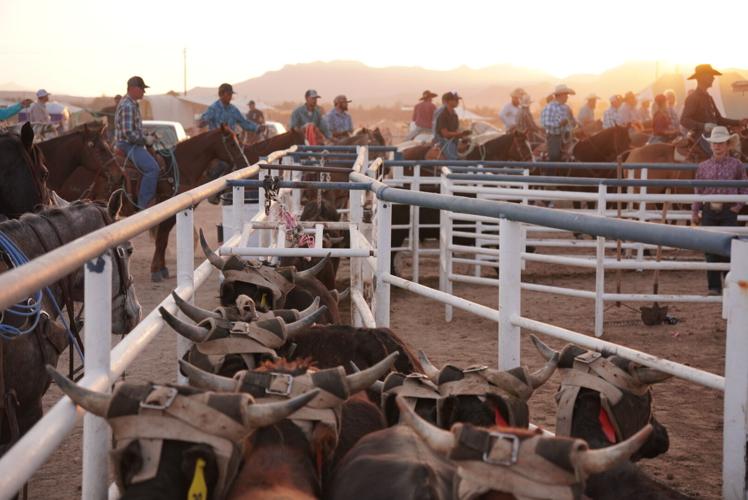 Increased safety measures aim to protect rodeo riders, horses
