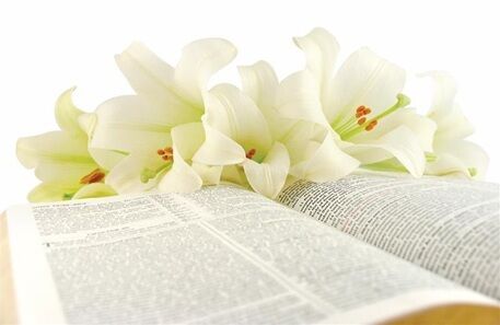 BookFlowers.jpg