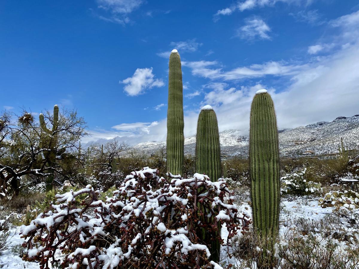 Snow in Tucson