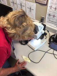 Cochise County confirms 3 cases of Zika virus