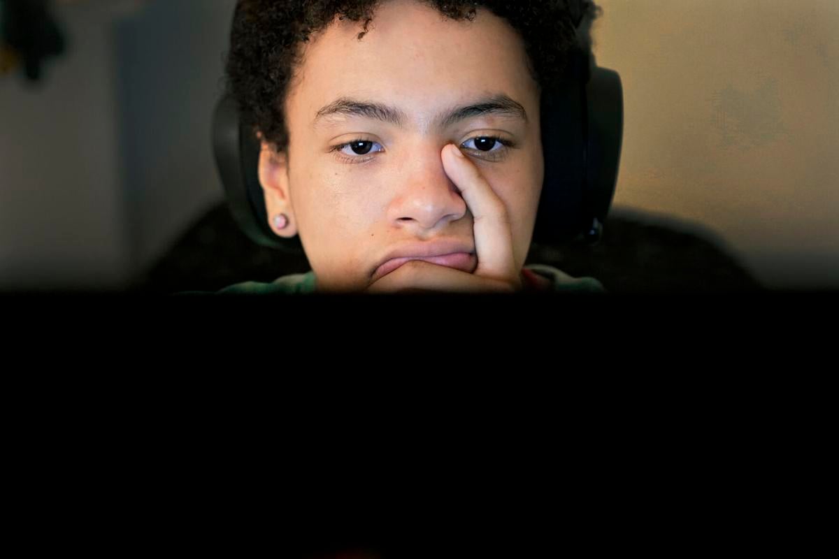 Online Learning Regrets