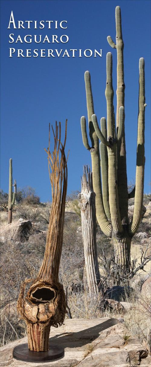 Tucson Crafts and Fairs Feb. 1824