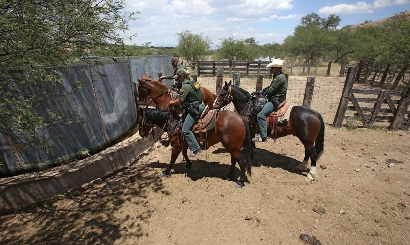 U.S. Border Patrol horse unit