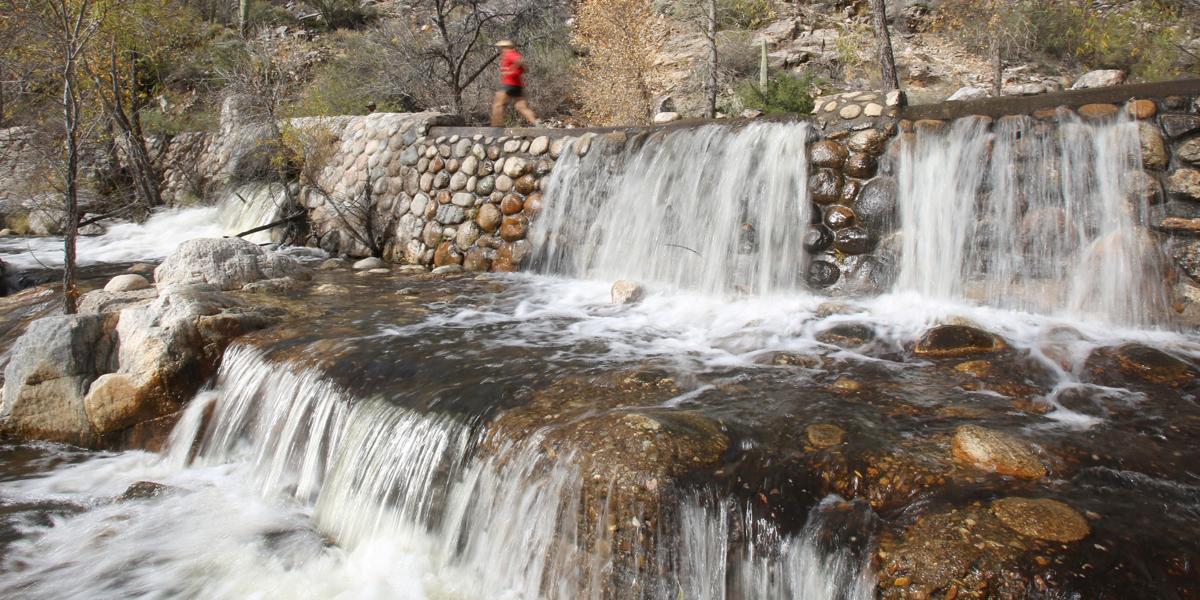Sabino Canyon