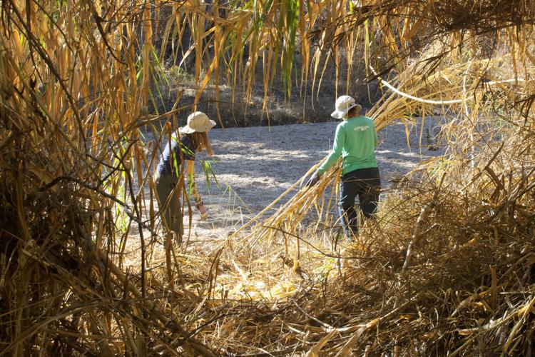 Tucson conservation group works to aid river flow, restore land