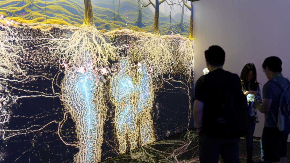 SIGGRAPH 2026 Explores the Convergence of Art, Science, and Technology