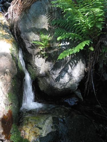 Trails on the eastern slopes of the Santa Catalina Mountains