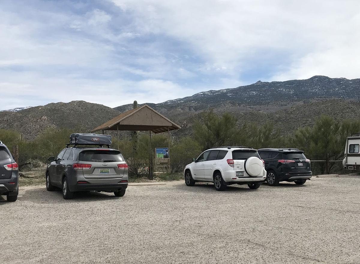 A helpful hiker's guide to the Douglas Spring Trail tucson life