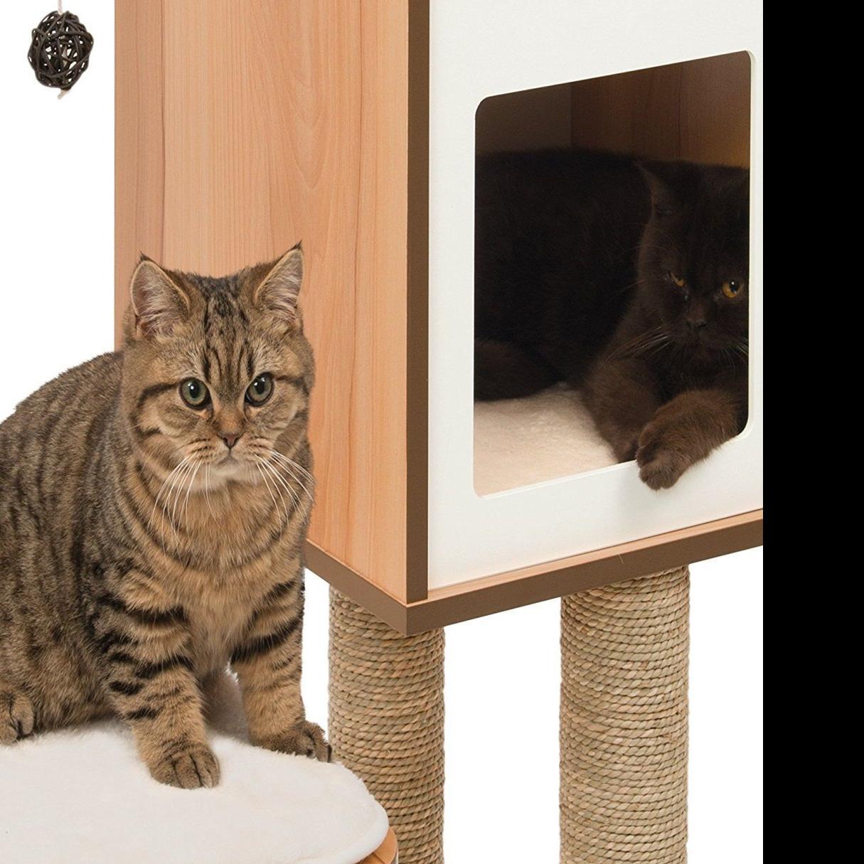 3 Cool Cat Trees That Won T Cramp Your Style Home Garden Tucson Com