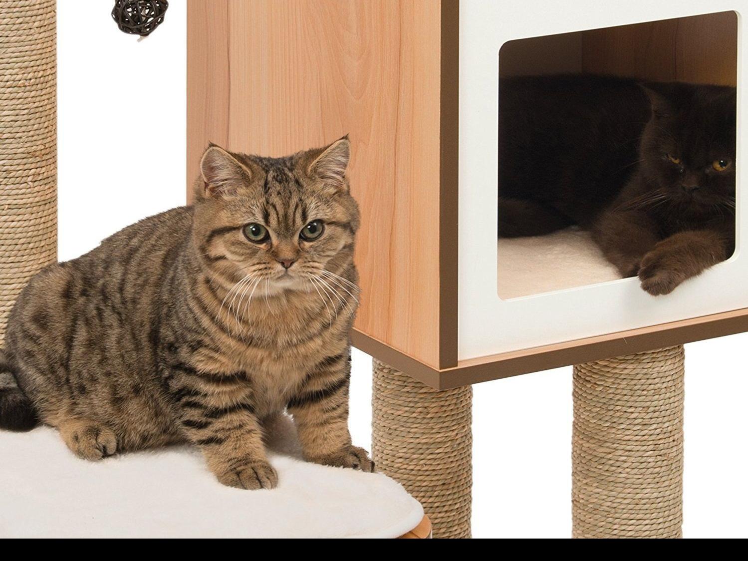 3 Cool Cat Trees That Won T Cramp Your Style Home Garden