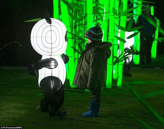 Asain Lantern Festival