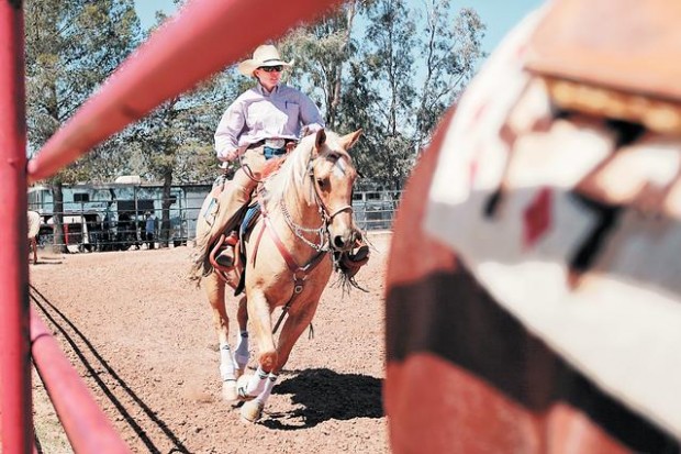 Crazy about horses and showing off  