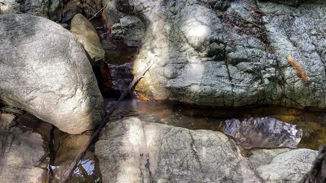 Water flowing at Marshall Gulch