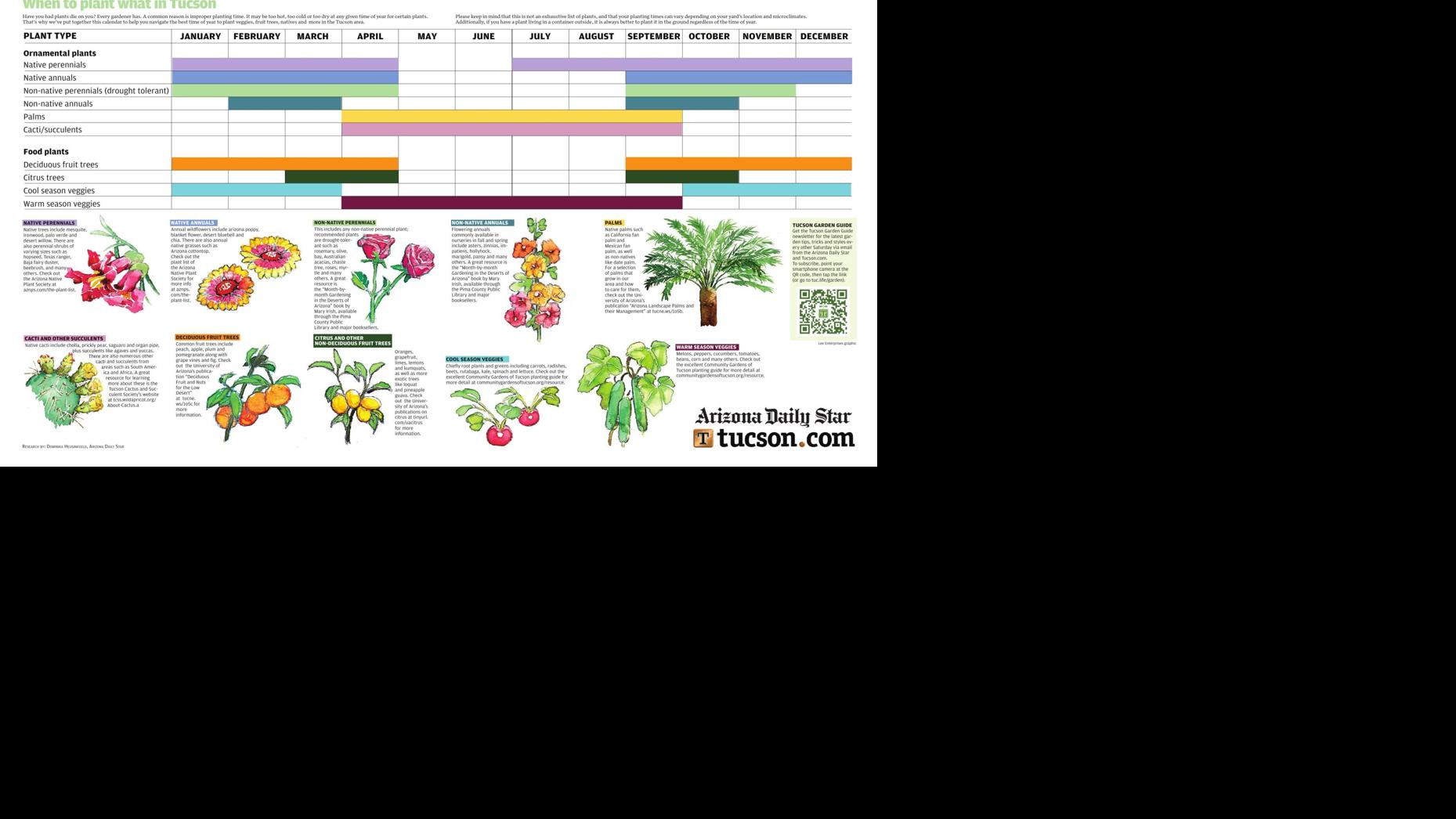 Here's your guide on when to plant what in Tucson Homegardening