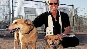 Animal Chaplain Brings Peace To Many Home Life Health