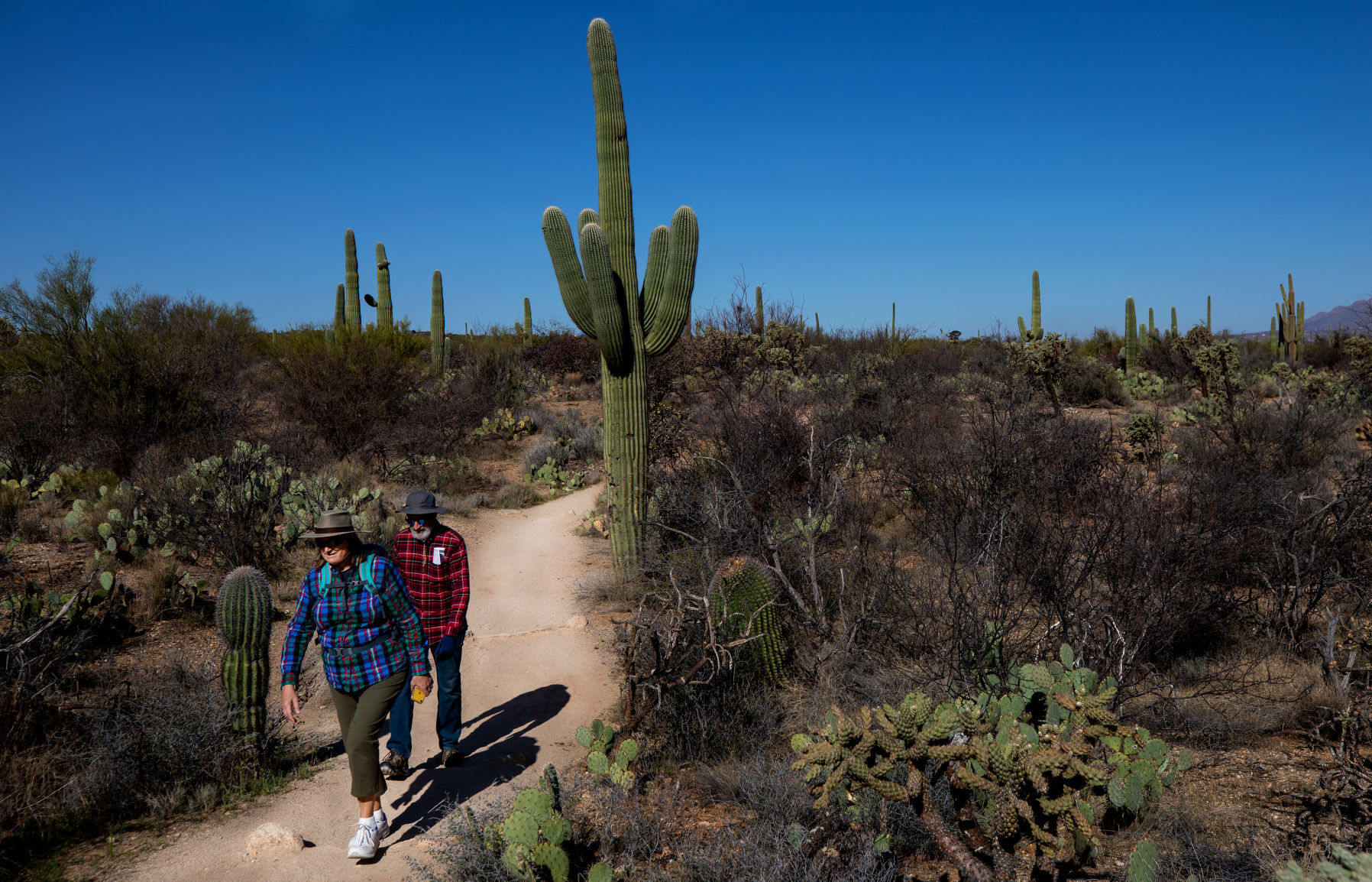 Tucson, you're looking at temps 10-15 degrees above normal