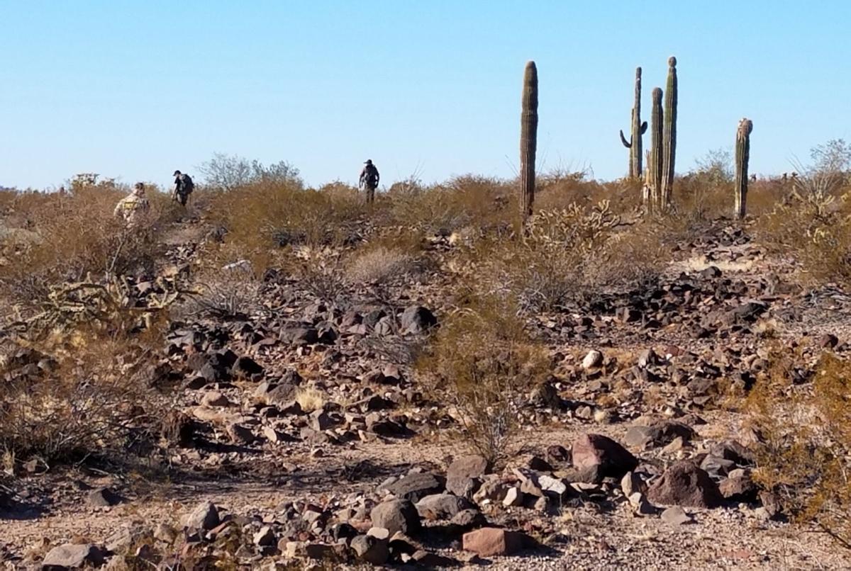 Southwestern Arizona deserts