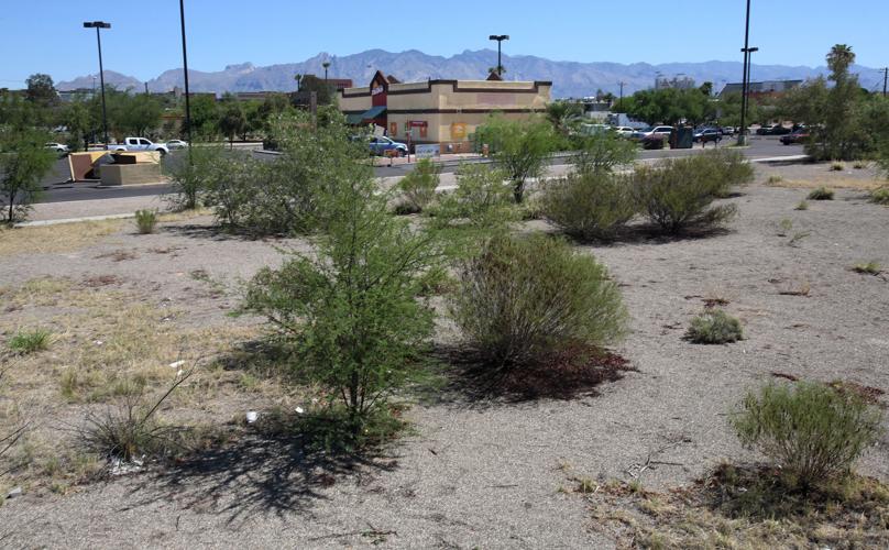 Vacant land purchased for Greyhound bus terminal