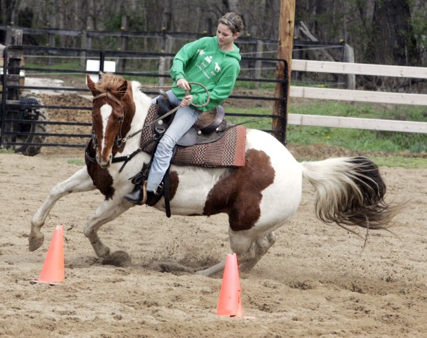 Animal shots of the week