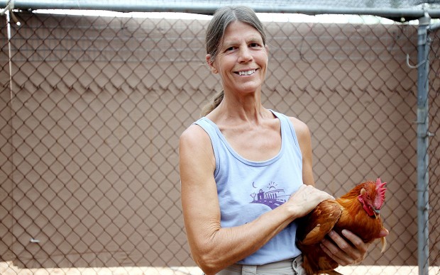 No chickening out for this farmer    