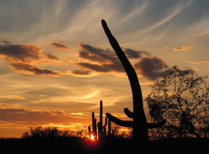 Sabino Canyon sunset