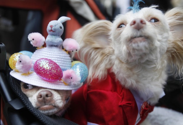Bonnets abound in NYC's traditional Easter Parade   