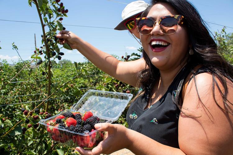 Prescott Mortimer Farms