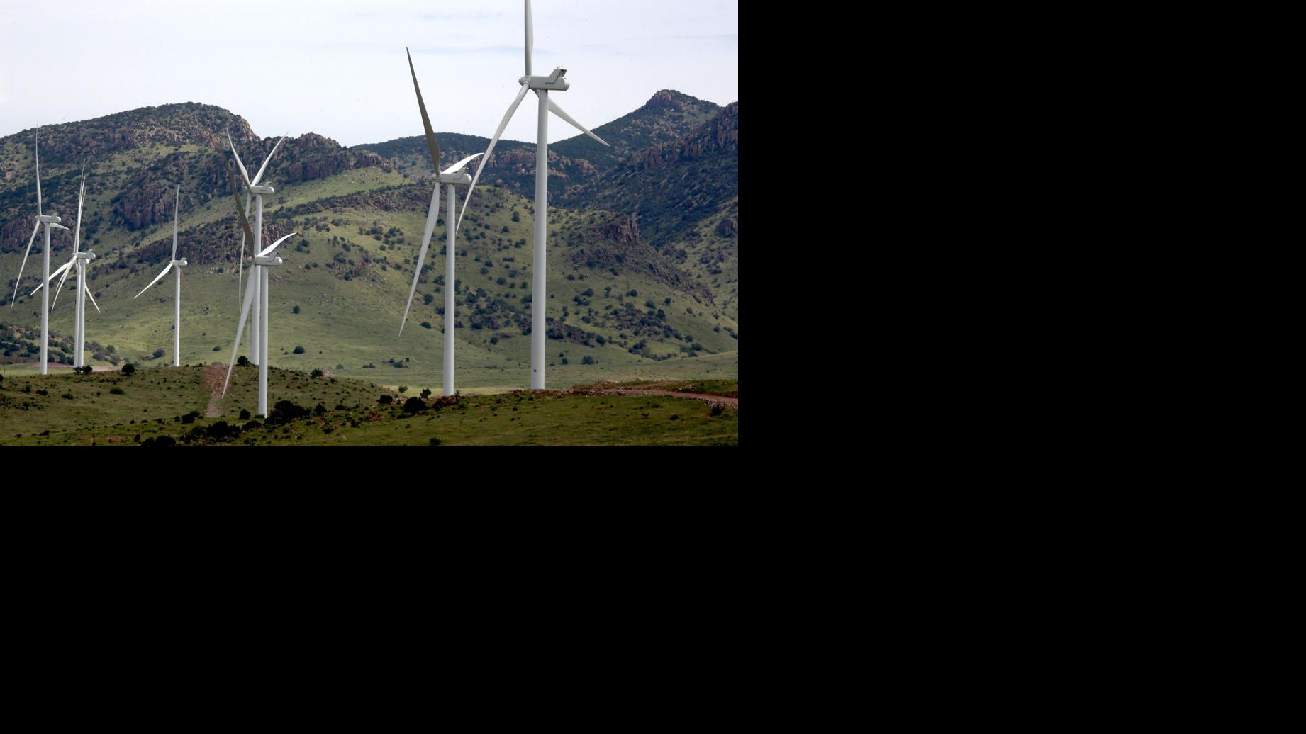 Willcoxarea wind farm under investigation for bat, eagle deaths