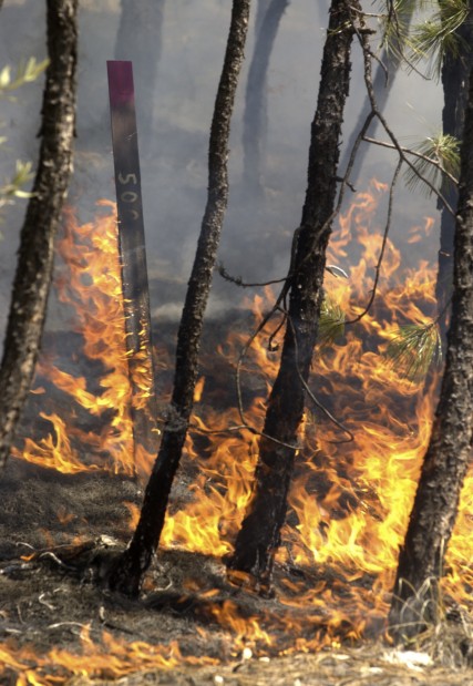 Aspen Fire recovery