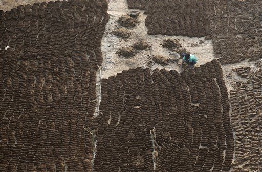 Cow dung patties selling like hot cakes online in India