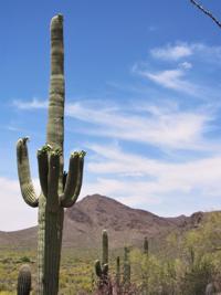 Tucson weather: No breaks from the triple-digit heat