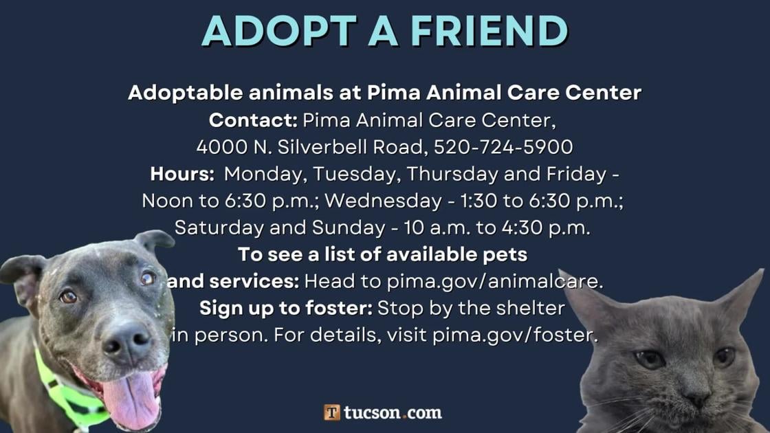 Adopt a friend: Local pets up for adoption for July 5
