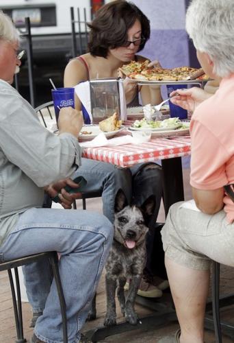 Where the cats eat: 15 pizza spots near campus   