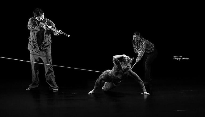 ‘Lost Roots’: A Sky Islands-Inspired Choreography