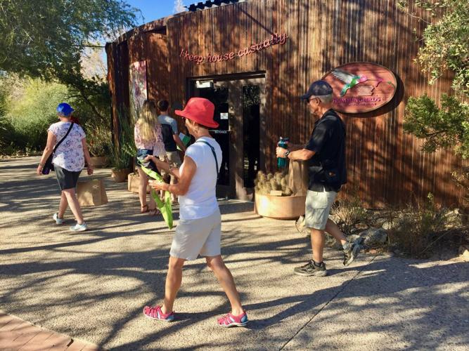 Desert museum poetry tour