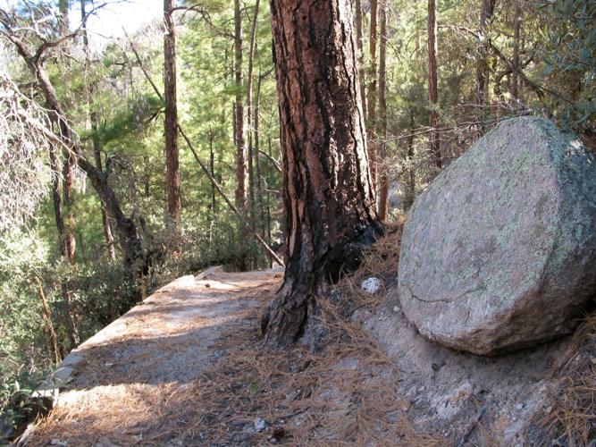 Trails on the eastern slopes of the Santa Catalina Mountains