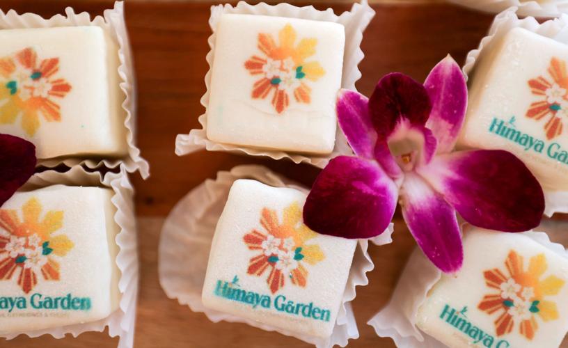 Himaya Garden-p5.jpg (copy)